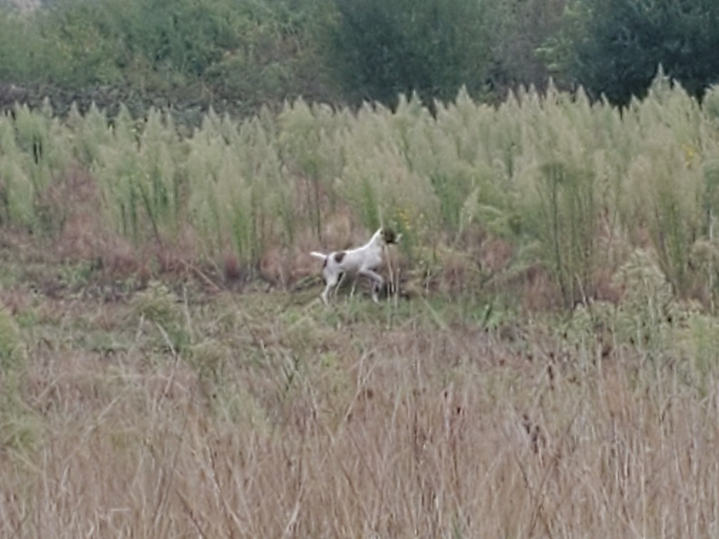 Test D'aptitude Naturelle